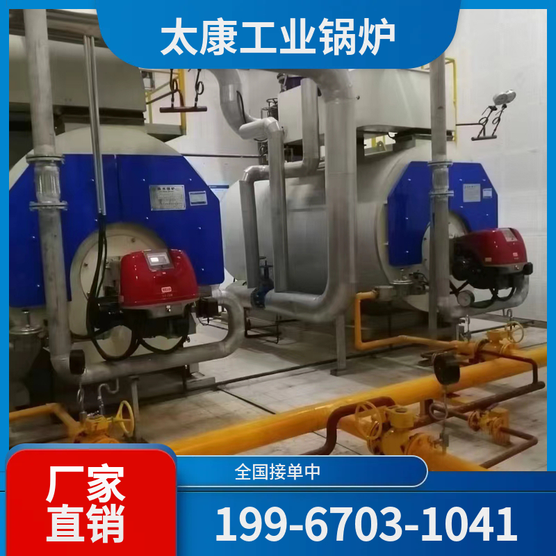 阿里低氮燃气锅炉